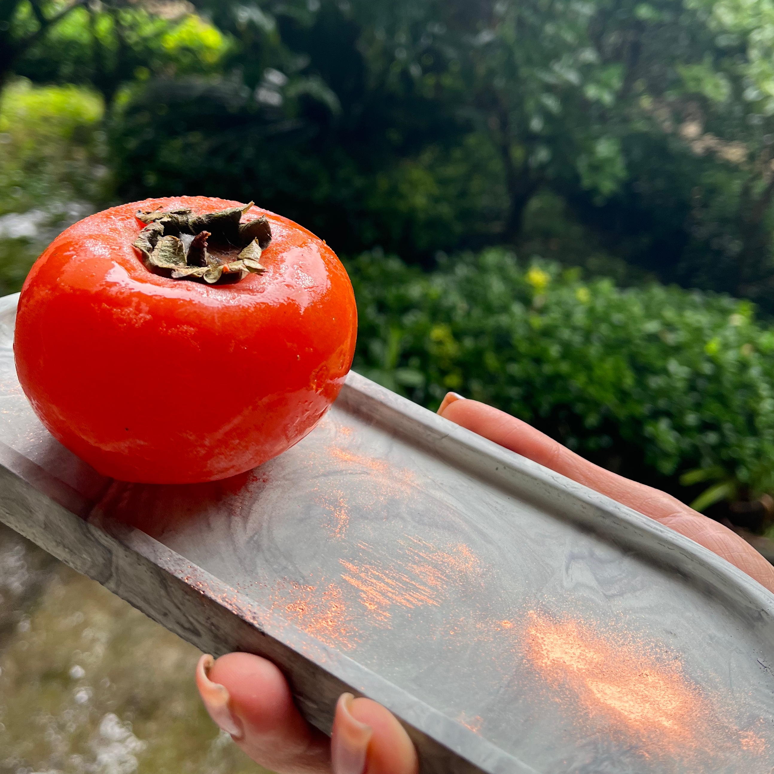 اکسسوری و ظروف 