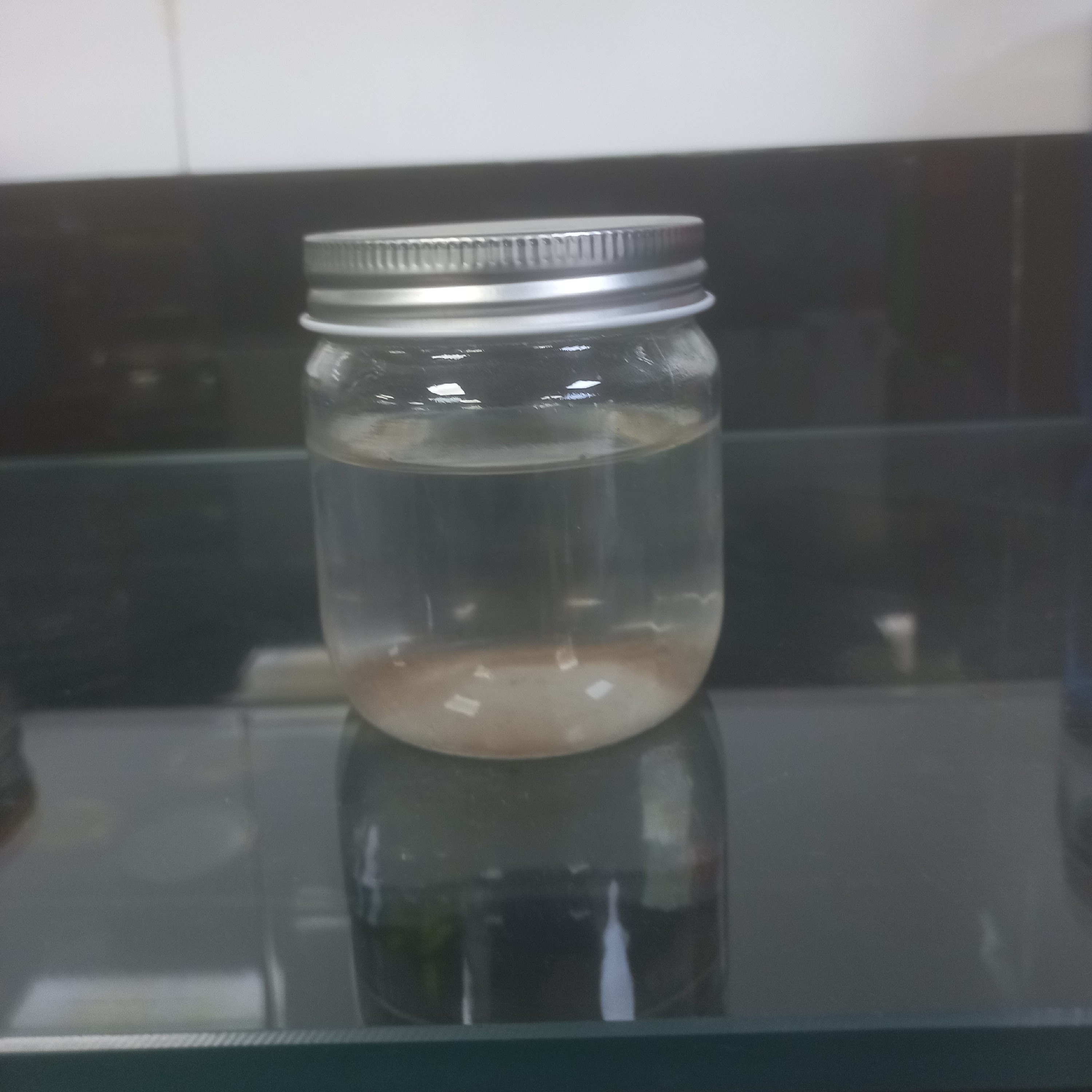 جار استوانه درب کانتینری سایز 4 حجم 350 گرم در 6 سایز