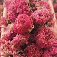 گلنار فارسی 500 گرم 