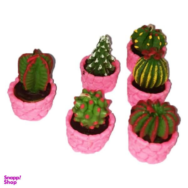 شمع طرح کاکتوس بسته 6 عددی