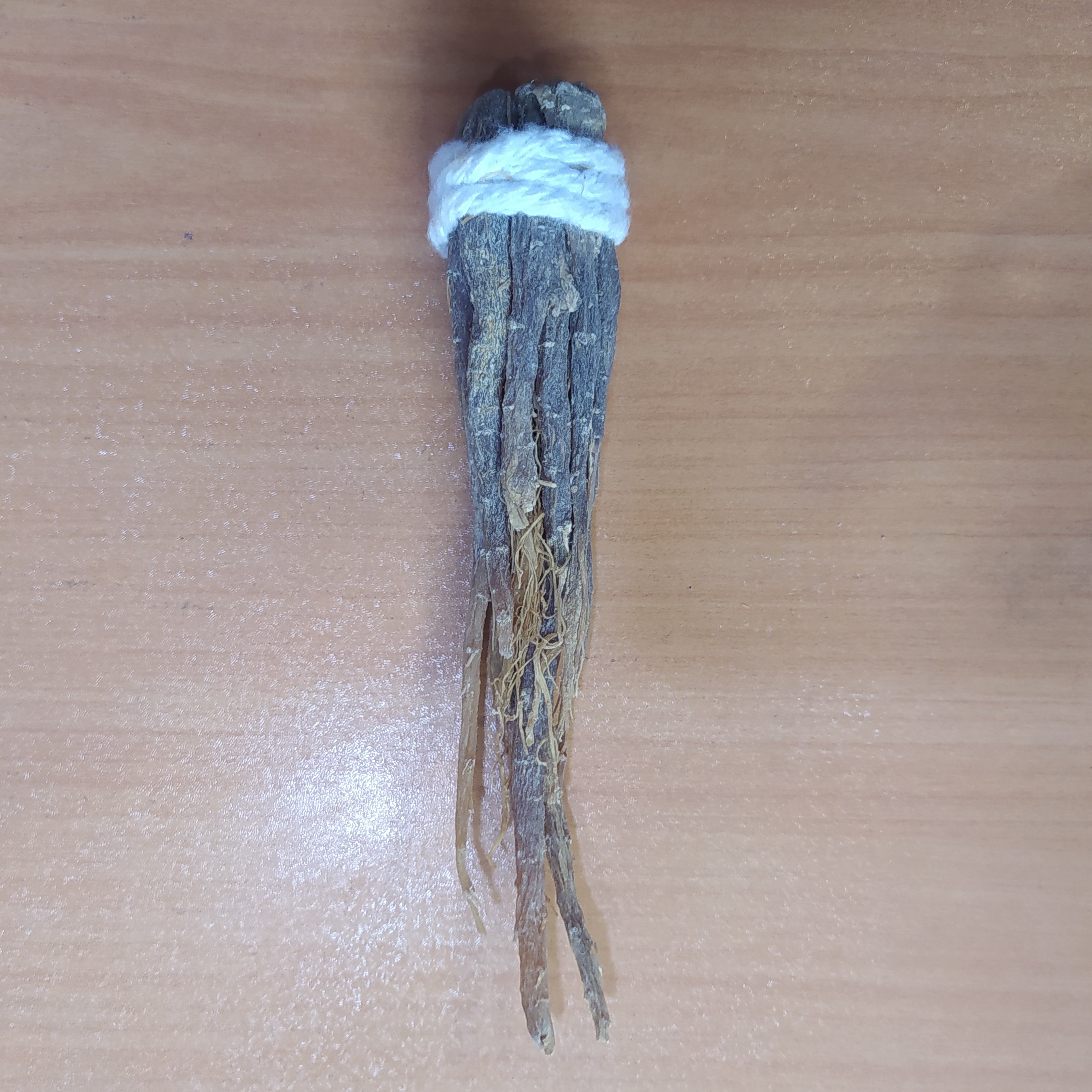 ریشه جنسینگ اصل