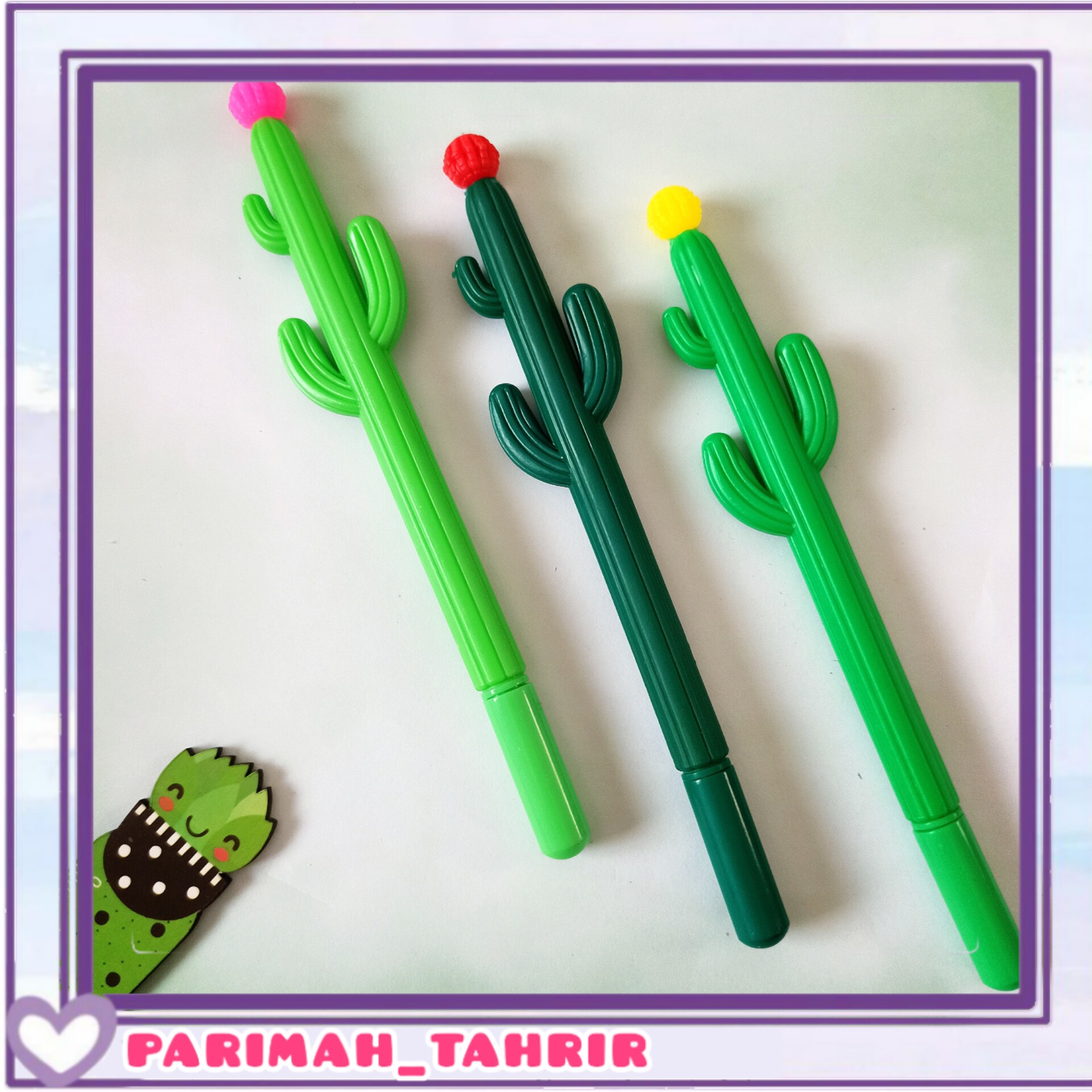 روان نویس کاکتوسدارای سه رنگ گلرنگ جوهر آبی نوک نازکارسال سریعبسته بندی شیکاشانتیون