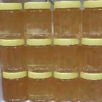 مربای بالنگ