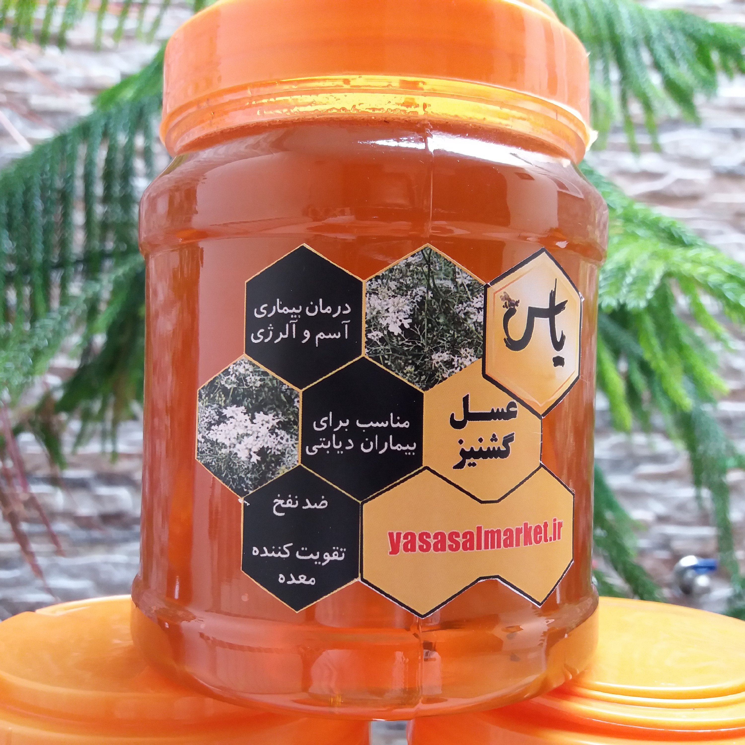 عسل گشنیز خالص