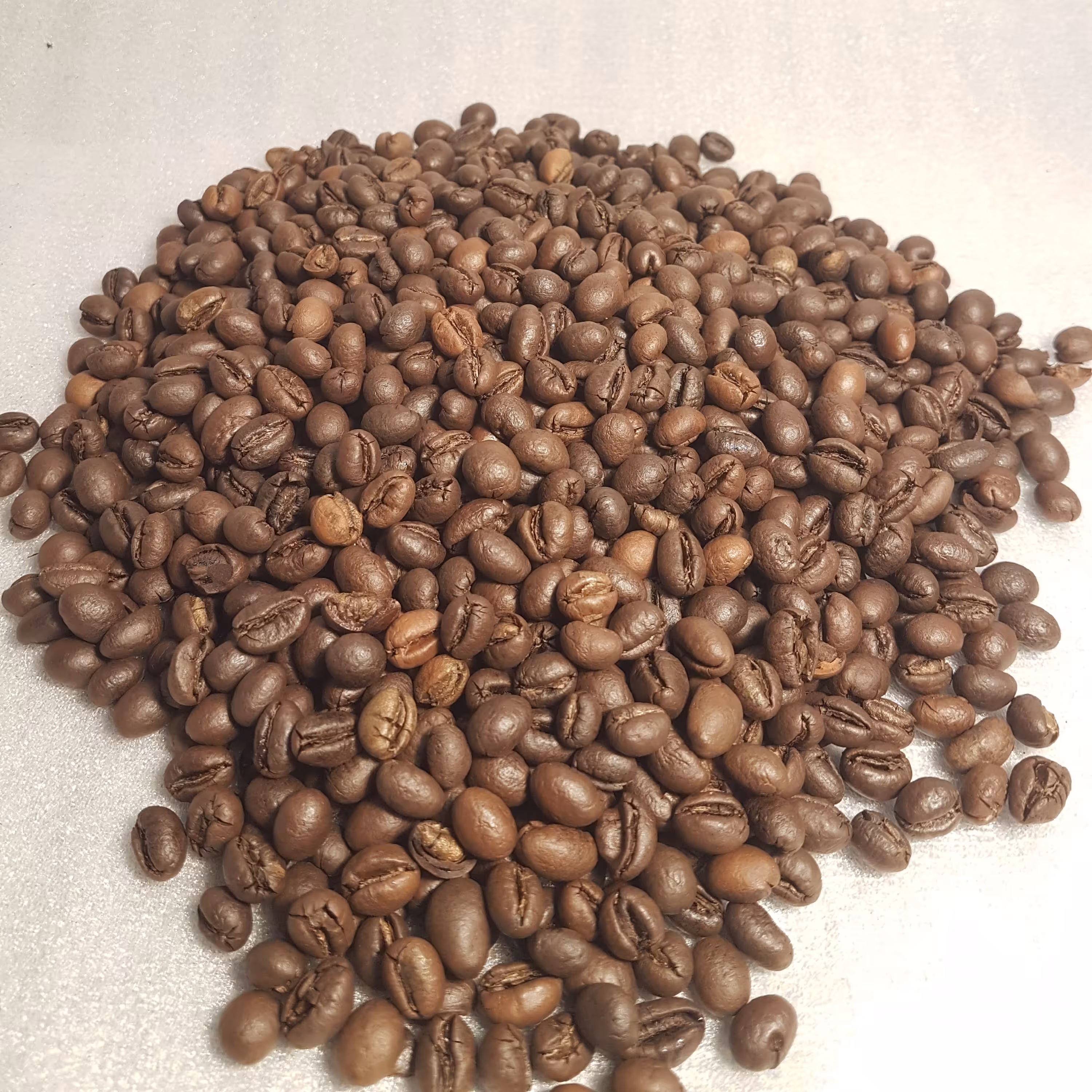 قهوه ربوستا پی بیPB با رست شکلاتی کافئین بسیار عالی اسکرین 20 گرید AAمحصول شرکتی عالی 1 کیلو گرم