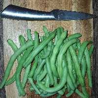 لوبیا سبز قیطونی  مخصوص خوراک ولوبیا پلو