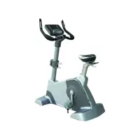 دوچرخه ثابت باشگاهی ایستاده کراس فیتنس مدل EB2200