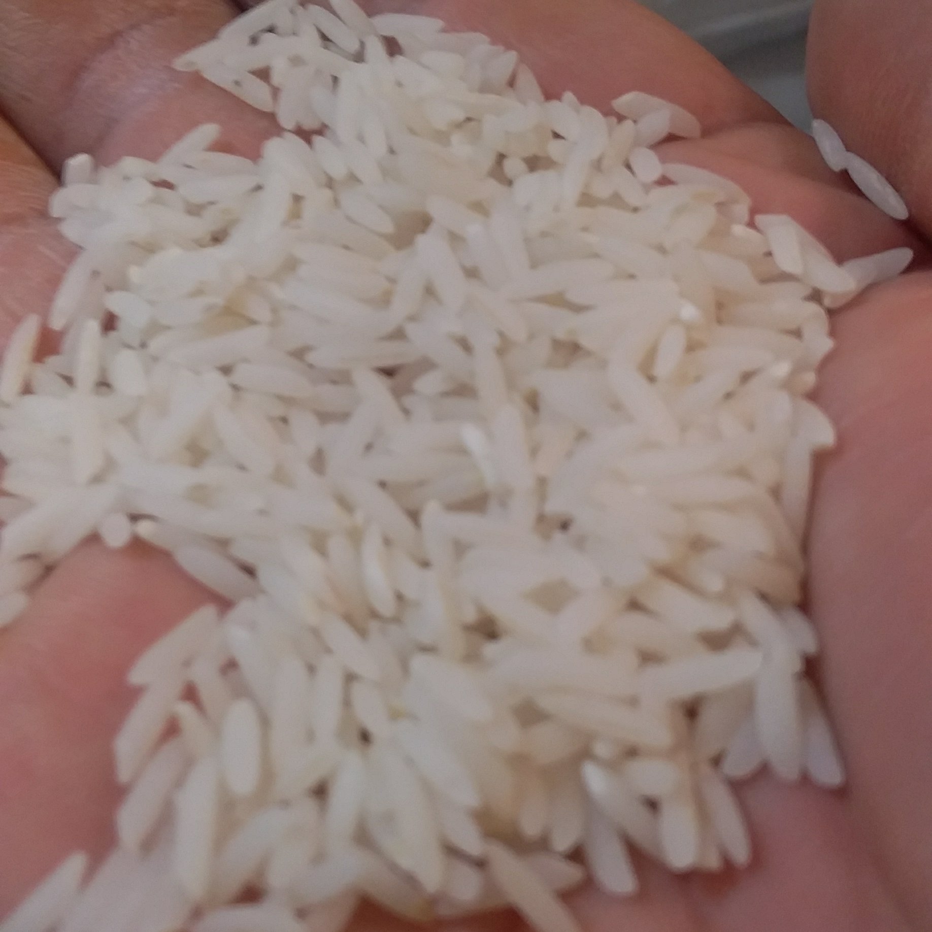برنج هاشمی محلی درجه یک خوش پخت خوش عطردر کیسهای10کیلوگرمی
