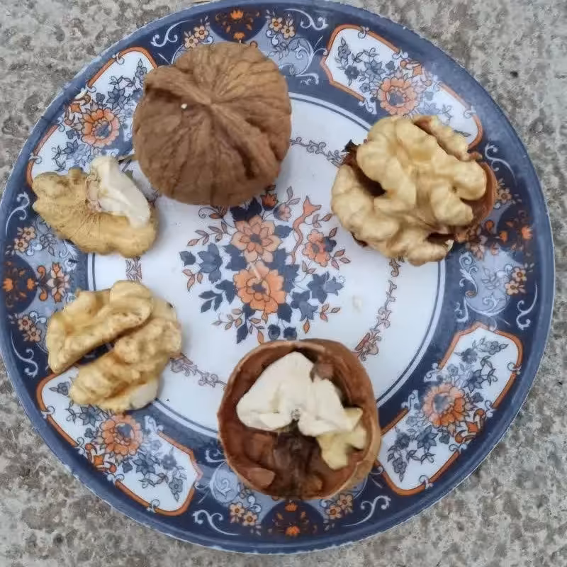 گردو درجه یک تویسرکان پوست کاغذی و مغز  سفید 