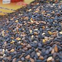 کنجد دانه سیاه محلی قائنات پنج کیلویی بهترین کیفیت و بهترین قیمت