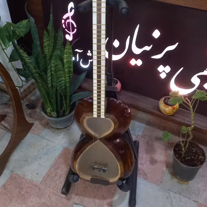 تار لطفی تک مهر همراه با هاردکیس