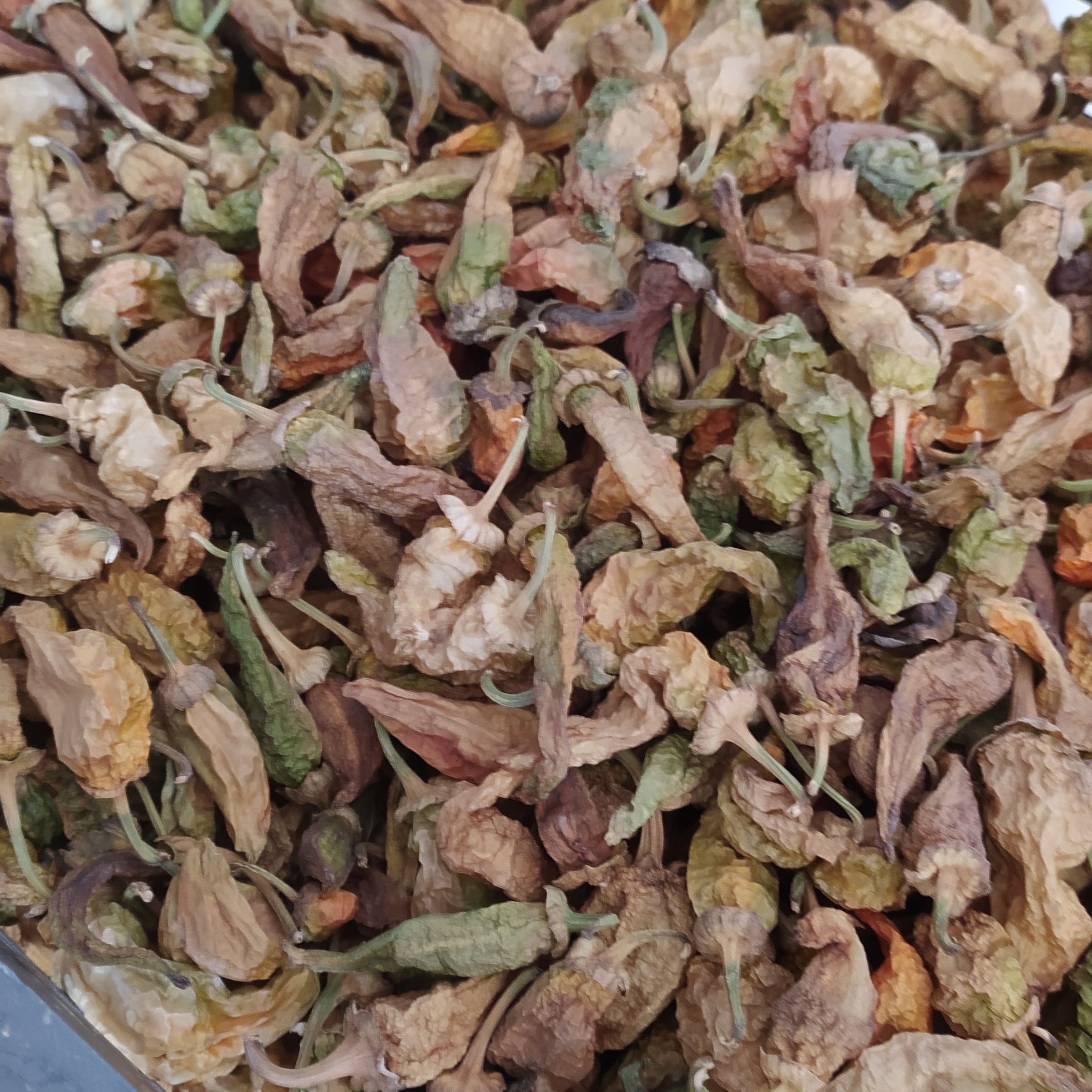 فلفل قرمز قلمی.   خشکه شاخ بزی عنابی قلمی  طبیعی سالم تند