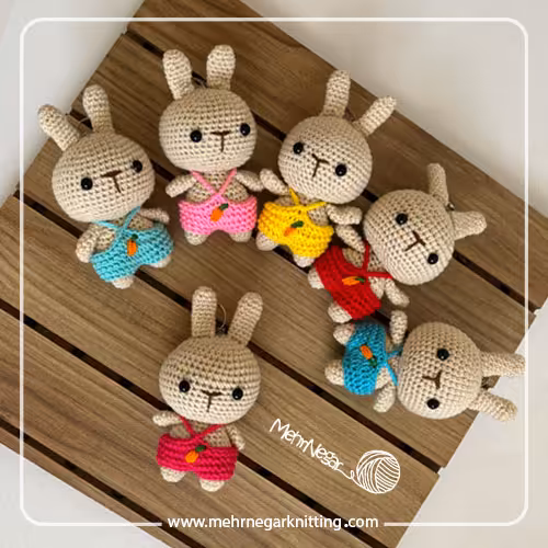 سرکلیدی خرگوش پیشبندی هویجدار