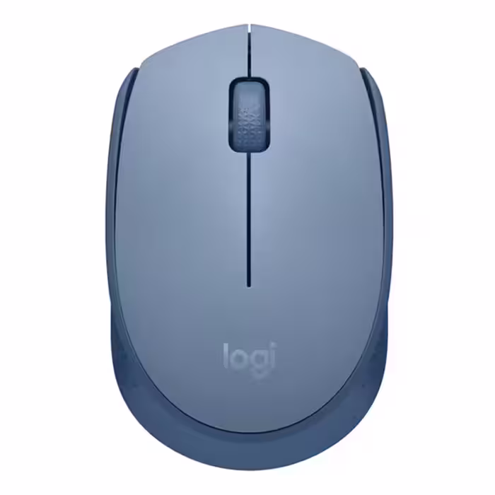 موس بی‌ سیم لاجیتک M171