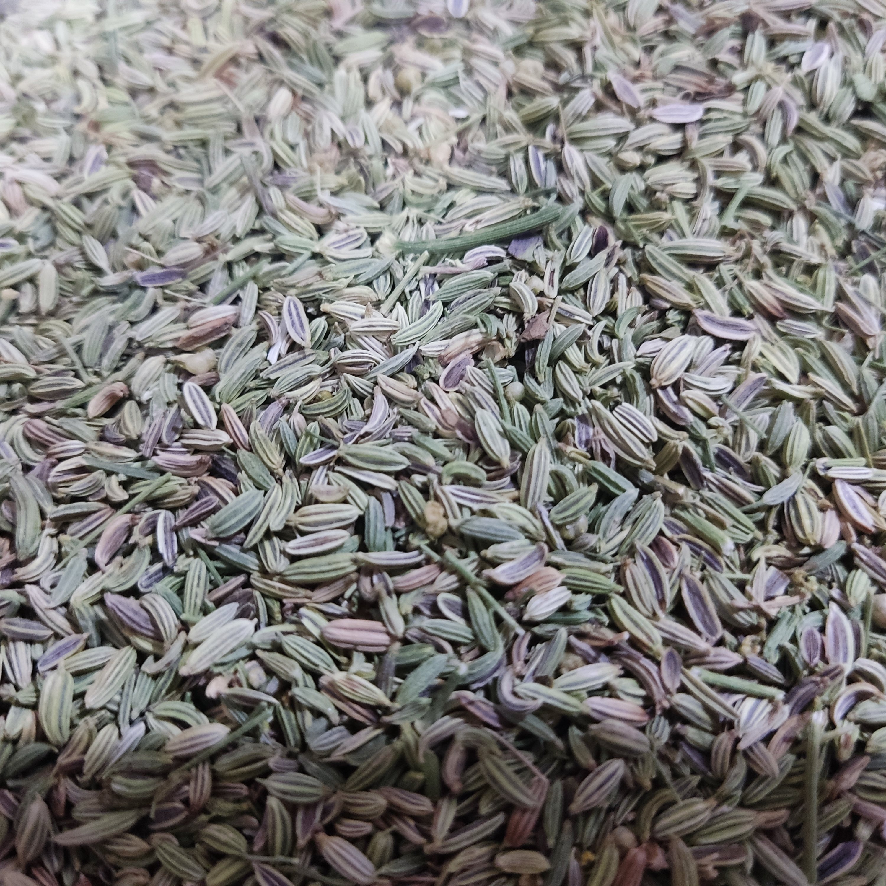 رازیانه 900گرمی درجه 1 (تضمین کیفیت)