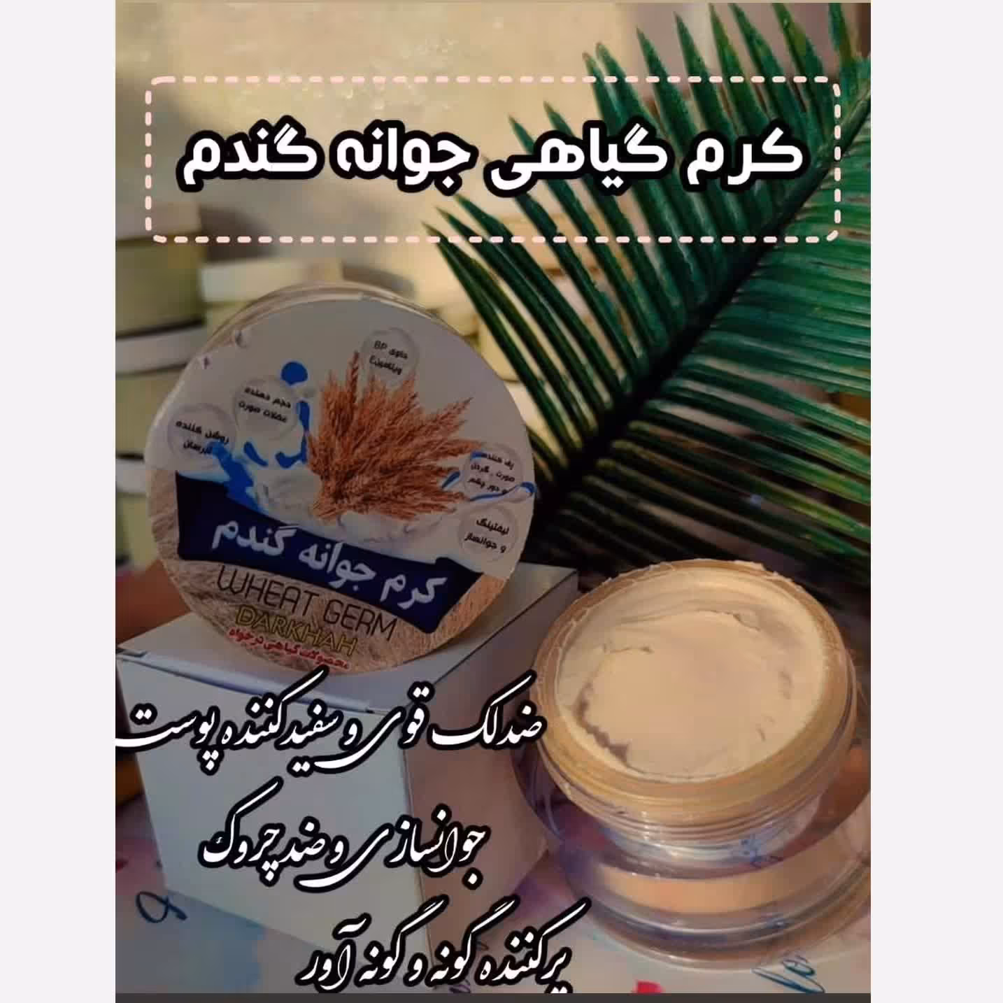 کرم جوانه گندم درخواه