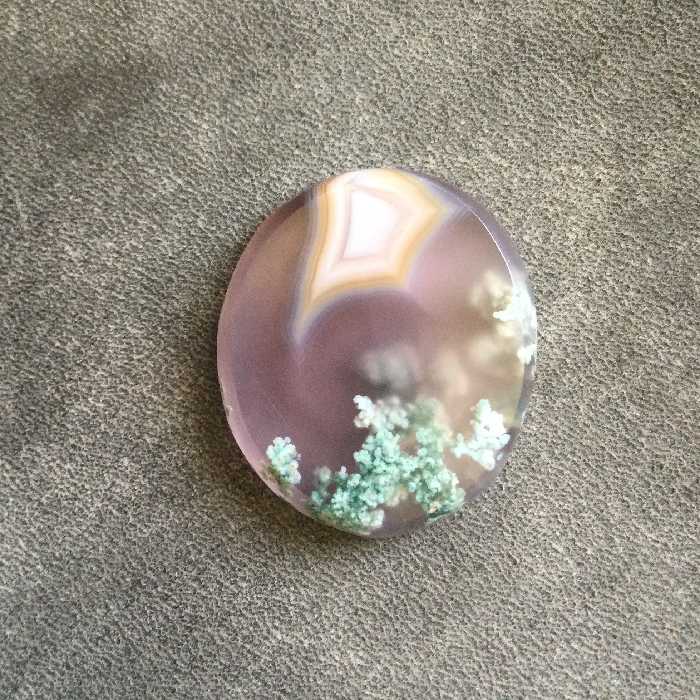 شجر فردوس با زمینه یاسی