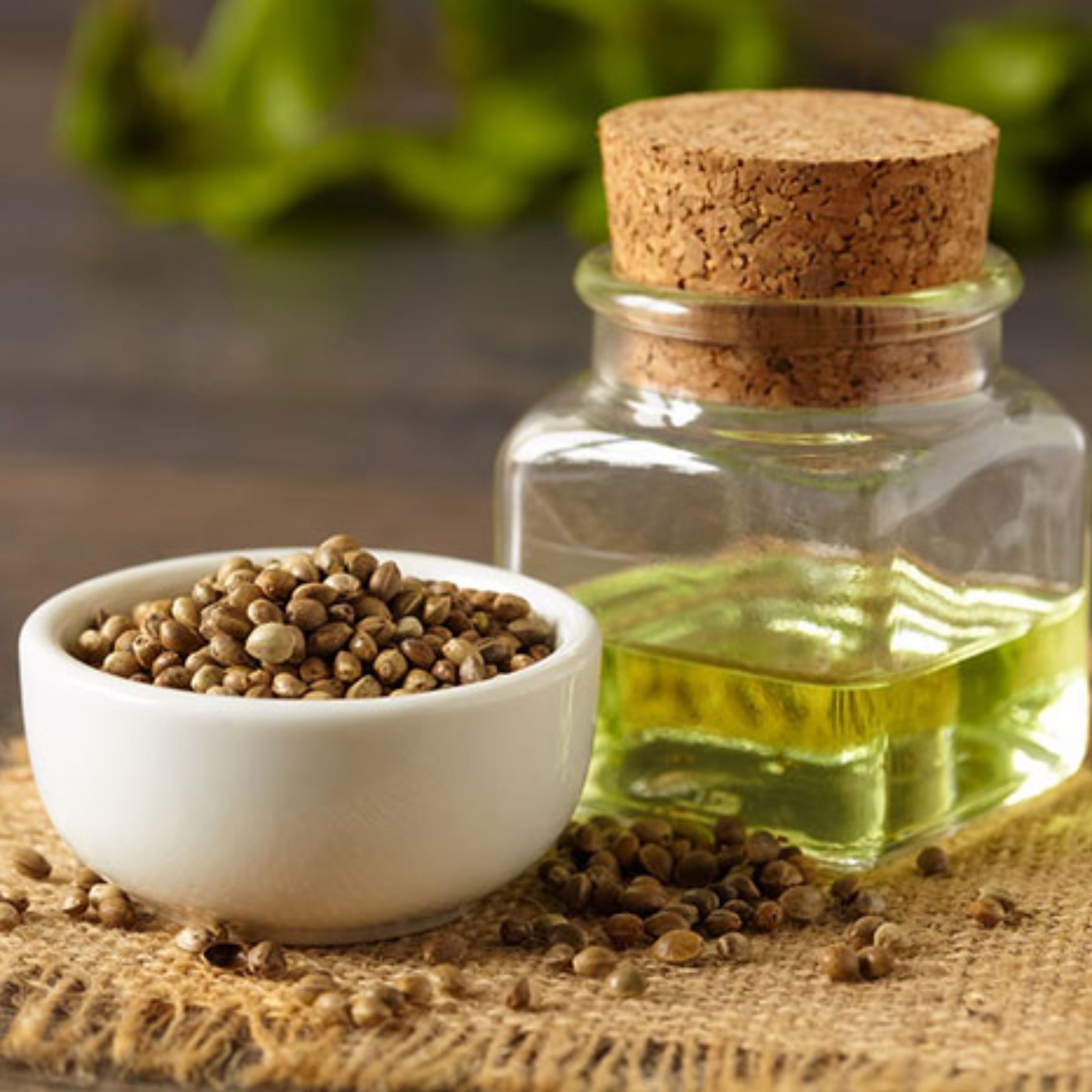 روغن شاهدانه اصل نیم لیتر