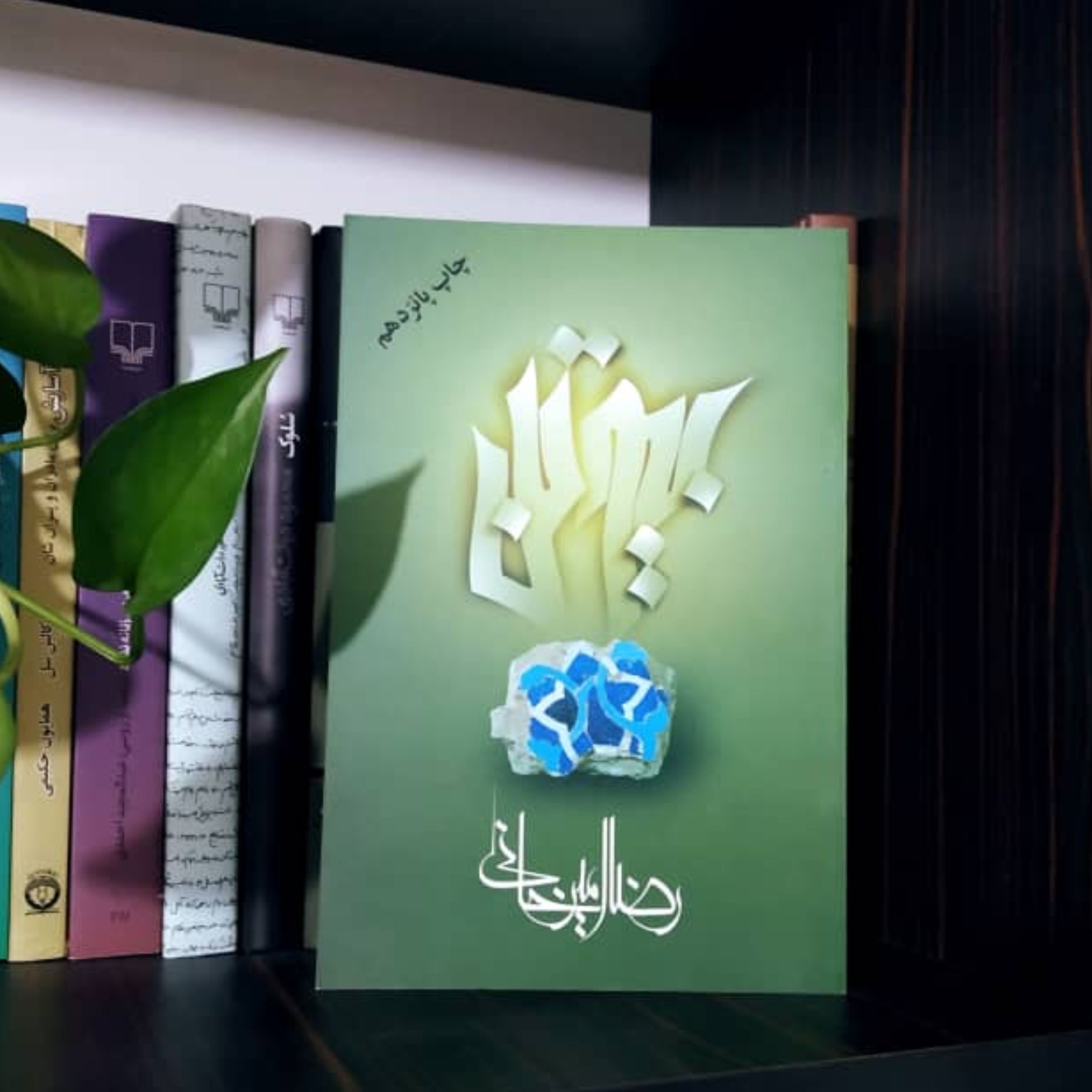 بیوتن رضا امیرخانی