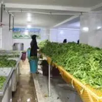 سبزی خرد شده خورشی 5کیلویی باارسال رایگان