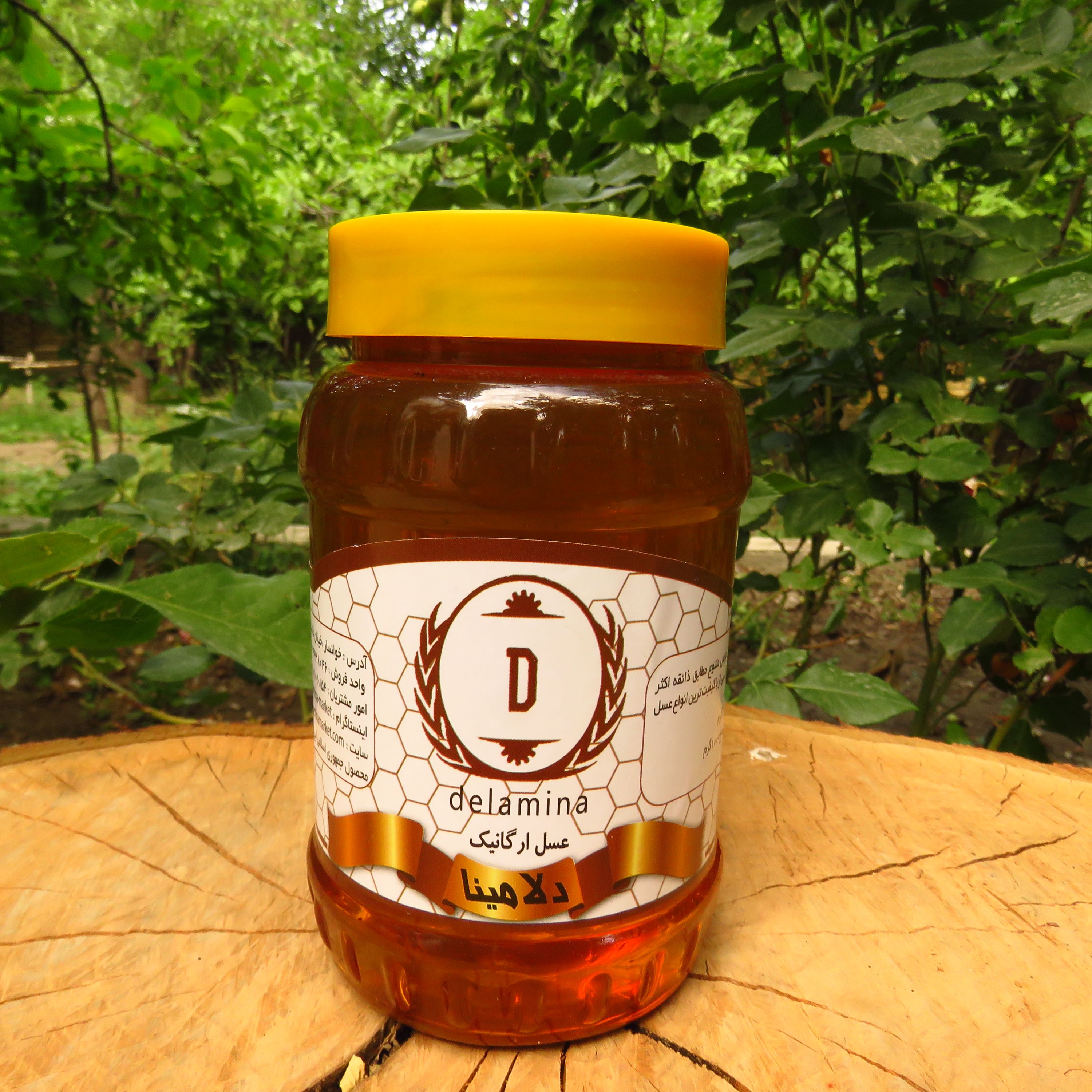 عسل گون زرد 500 گرمی