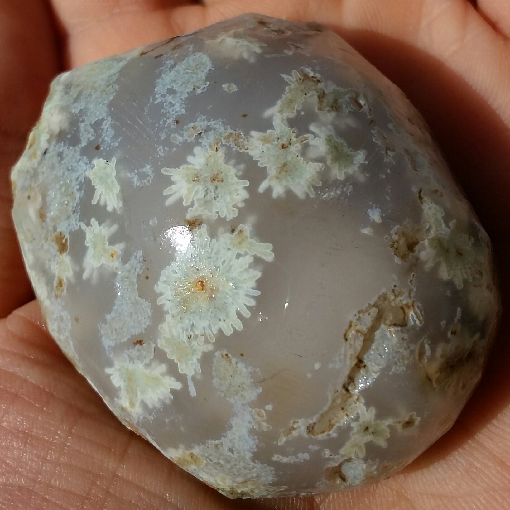 سنگ راف شجر شکوفه بسیار خاص و کمیاب کاملا طبیعی شاااااااهکار خلقت
تابلو نقاشی طبیعی
با قابلیت ساخت چند نگین فوق قیمتی