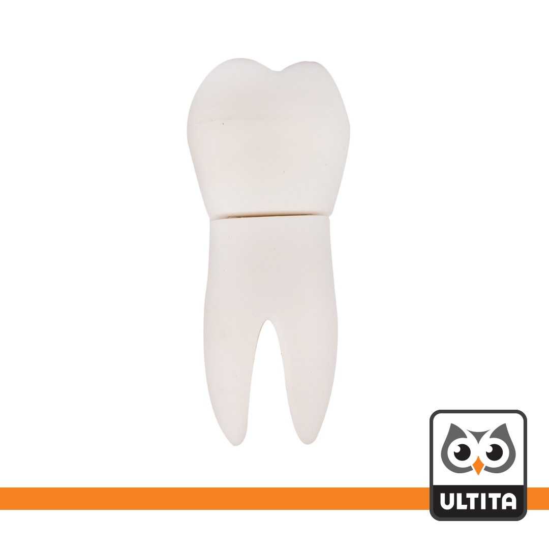 فلش دندان 01 64 گیگ اولتیتا با گارانتی 