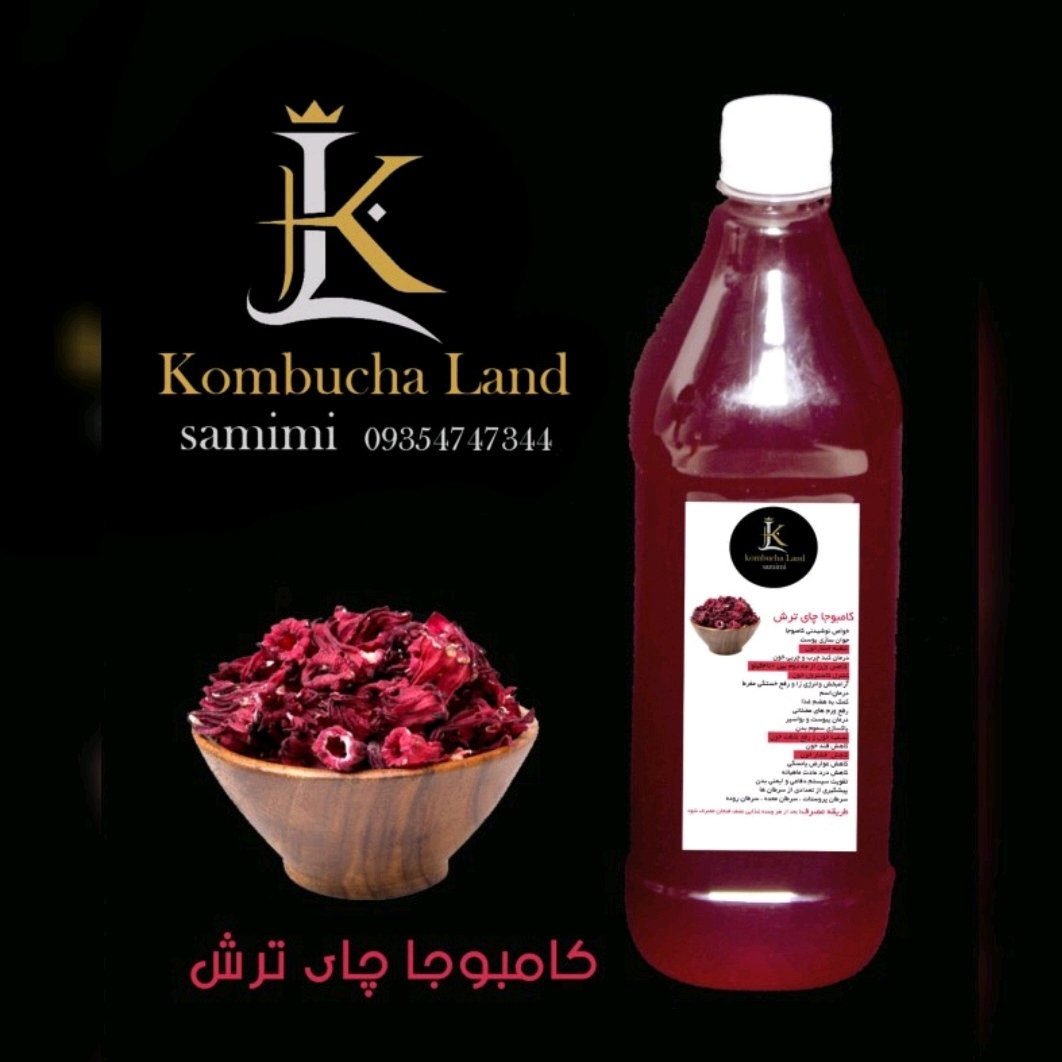شربت کامبوجا با طعم چای ترش 1200گرمی