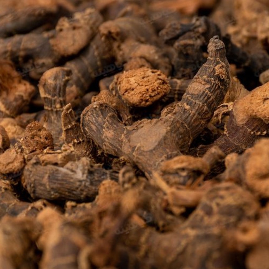 قولنجان اعلا ودرشت 