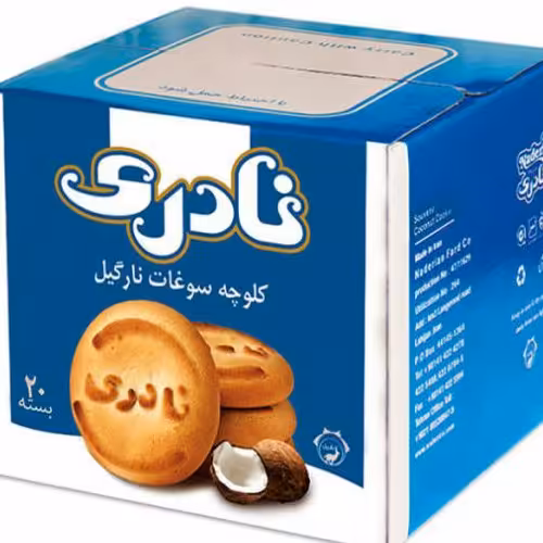 کلوچه اقتصادی نارگیلی نادری40تایی(20جفت)