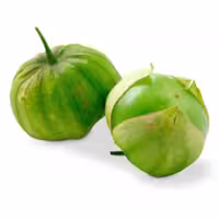 بذر گوجه فرنگی ورد 10 عددی