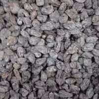 مویز ایرانی و خارجی با دانه بدون دانه