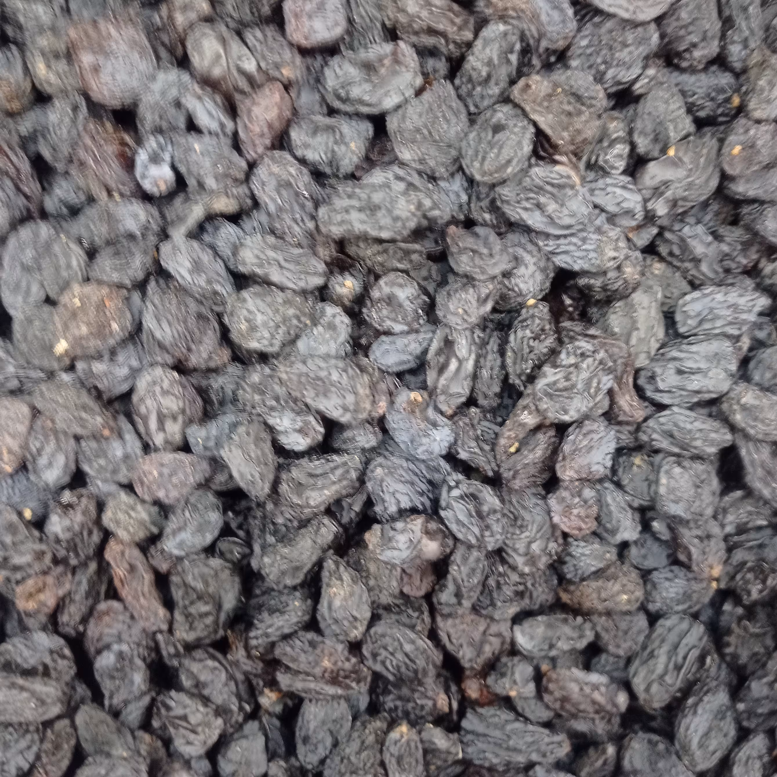 مویز ایرانی و خارجی با دانه بدون دانه