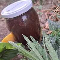 رب الوچه ملس 