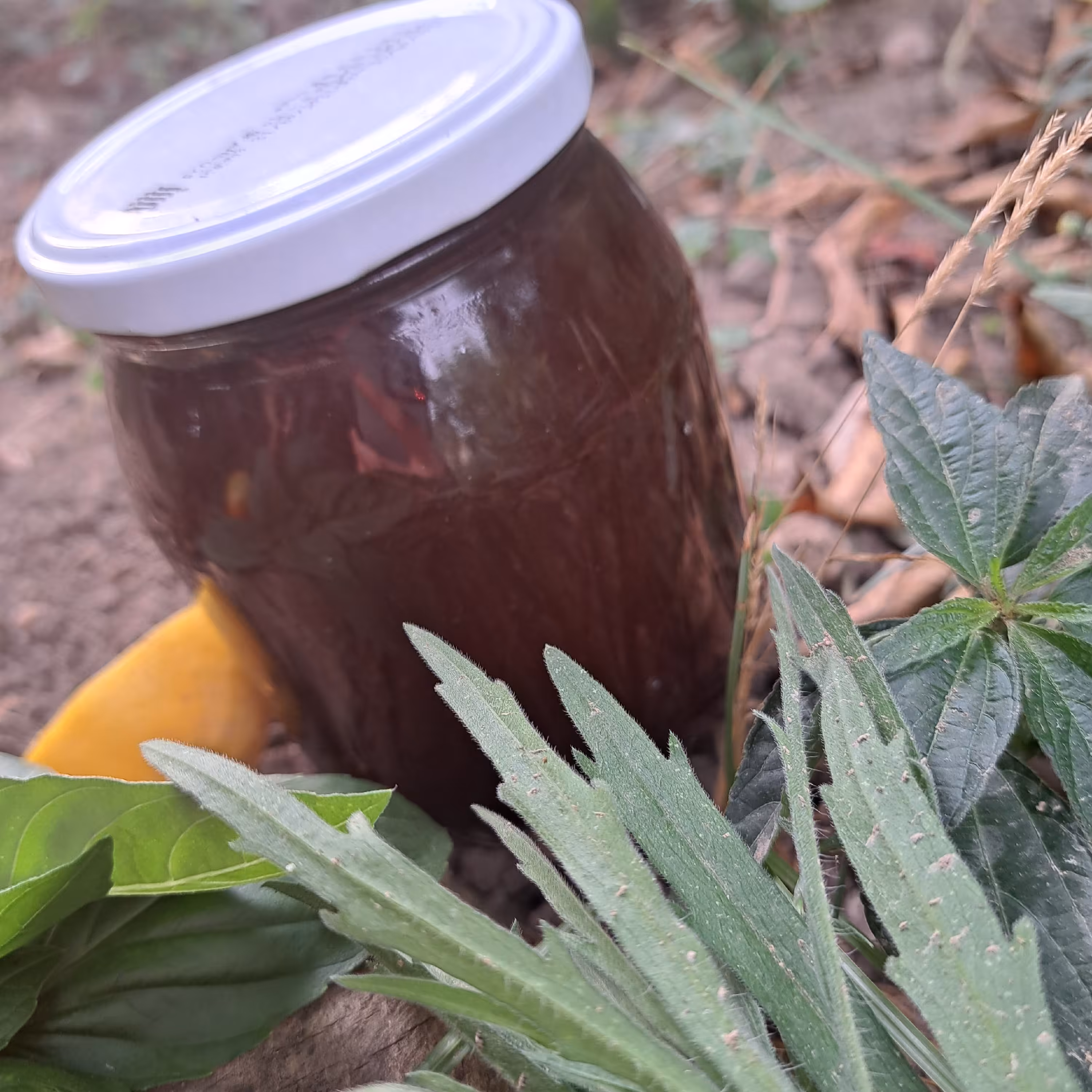 رب الوچه ملس 