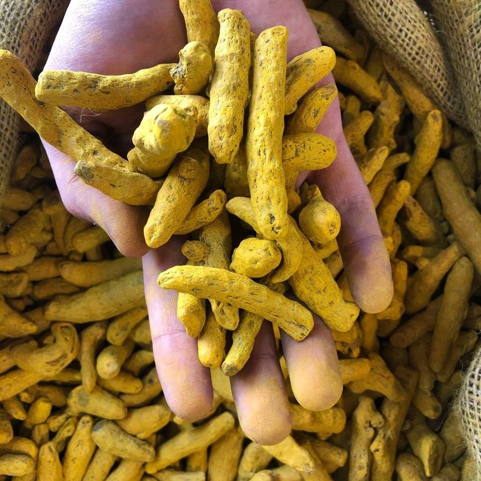 چوب زردچوبه ی اعلا و درجه یک در بسته بندی ( 100 گرمی )