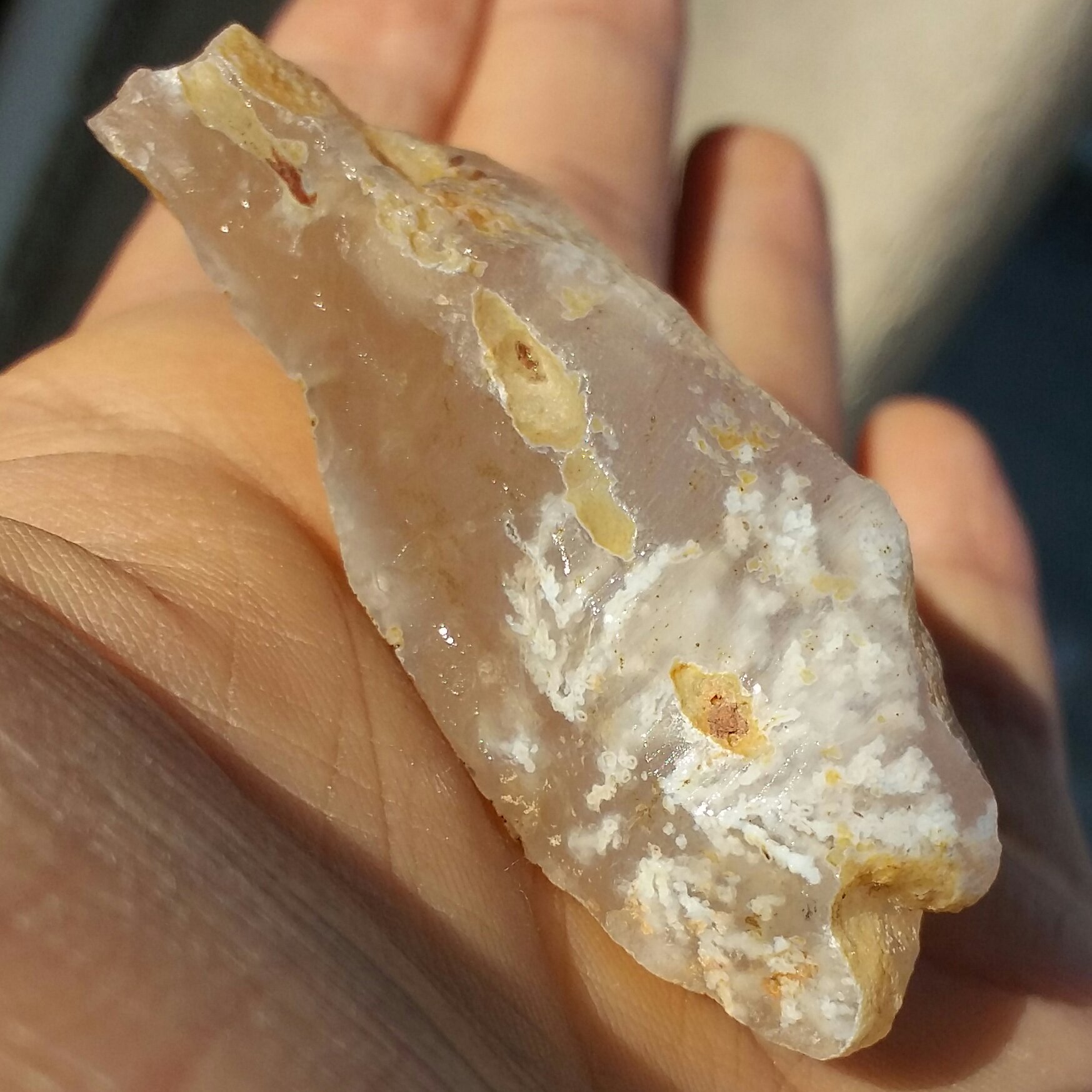 سنگ راف شجر شکوفه خارق العاده شجر واضح دیدنی محشر 100 در 100 طبیعی شاهکار خلقت
تابلو نقاشی طبیعی بینظیر
