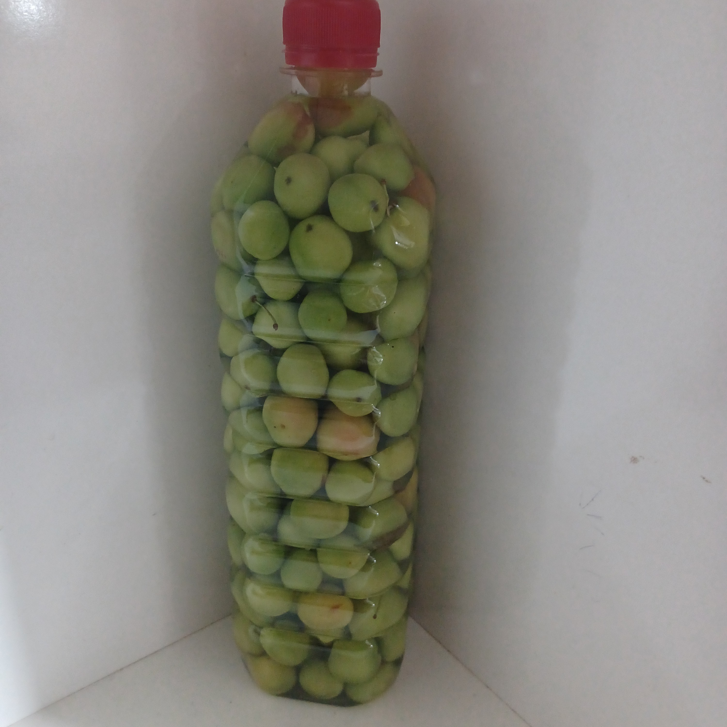 ترشی آلوچه جنگلی ترش  1کیلویی