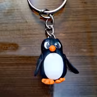 جاکلیدی طرح پنگوئن است