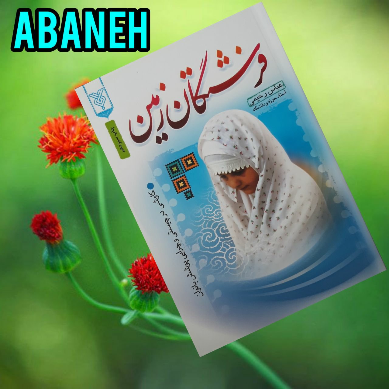 فرشتگان زمین