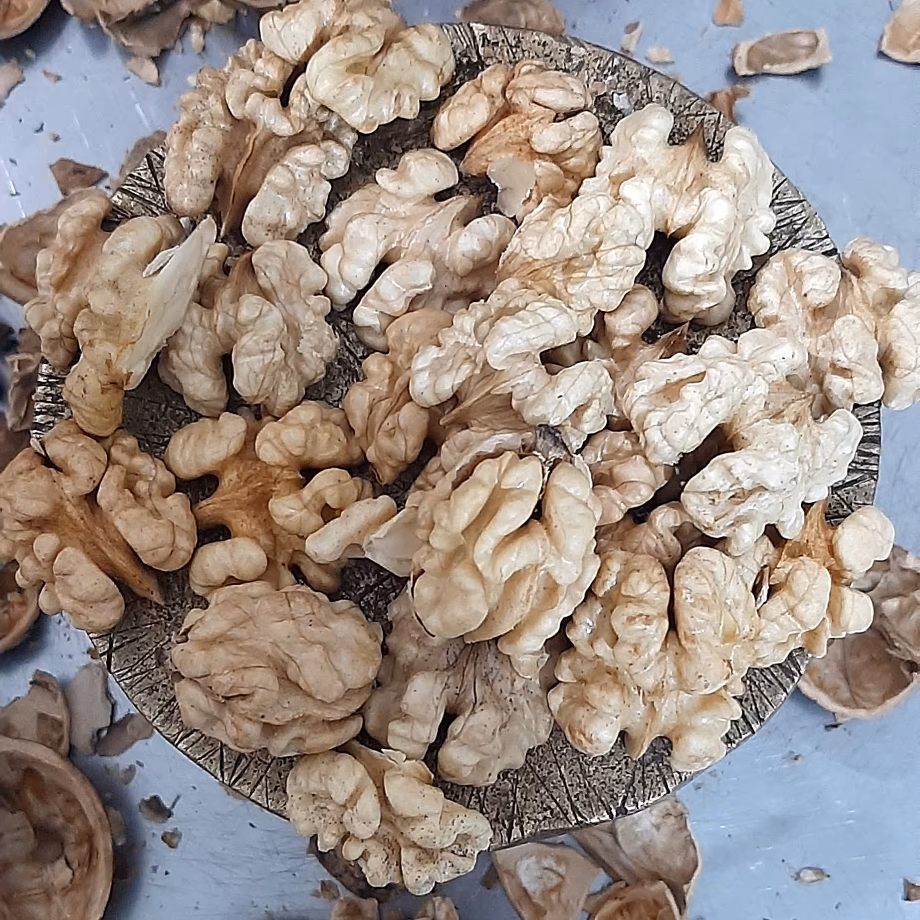 گردوی پوست کاغذی تویسرکان محصول 1401