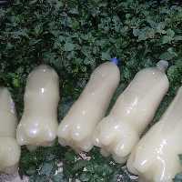 آبلیمو طبیعی یک و نیم لیتری خالص قیروکارزین دستگیر