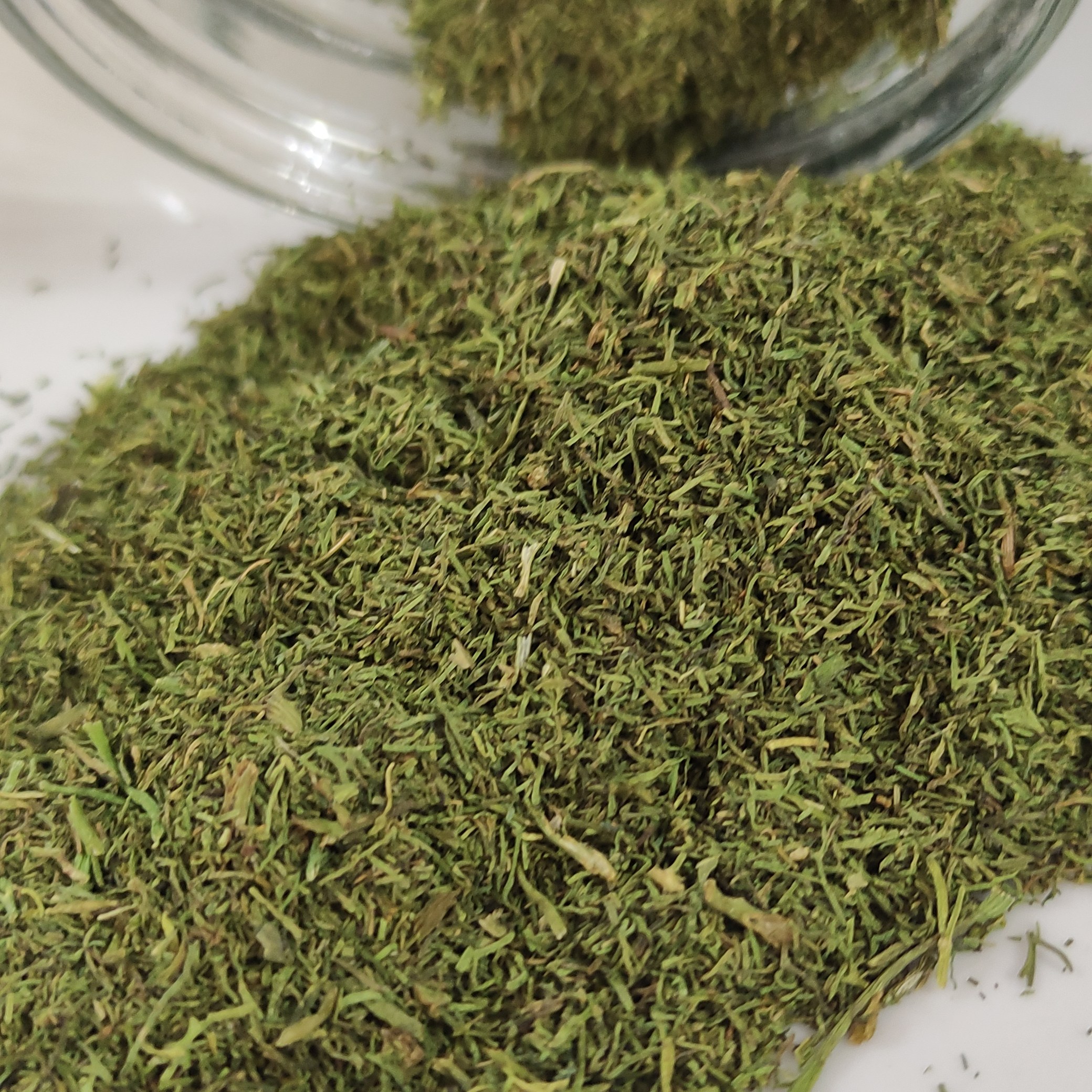 شوید خشک خانگی