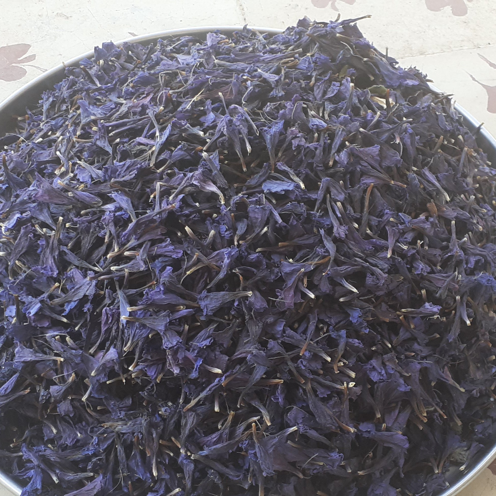 گل گاو زبان اعلا