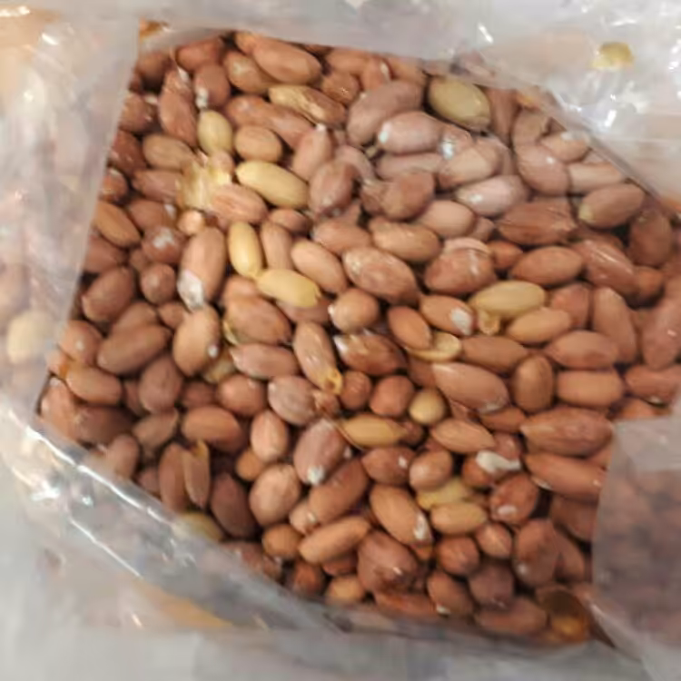 بادام زمینی آستانه 5 کیلویی درجه  1 (کیلویی110 هزار تومان)