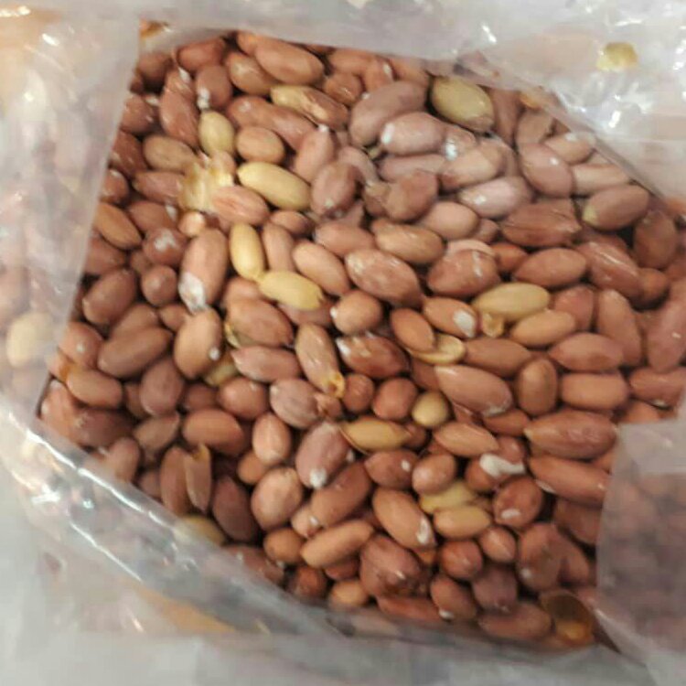 بادام زمینی آستانه 5 کیلویی درجه  1 (کیلویی110 هزار تومان)