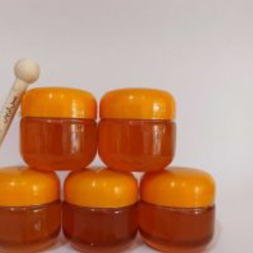 عسل وحشی دیابتی 100 گرمی