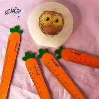 خط کش فانتزی 15 سانتی طرح هویج