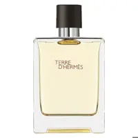 ادو تویلت مردانه HERMES Terre d’Hermes حجم 100 میلی لیتر