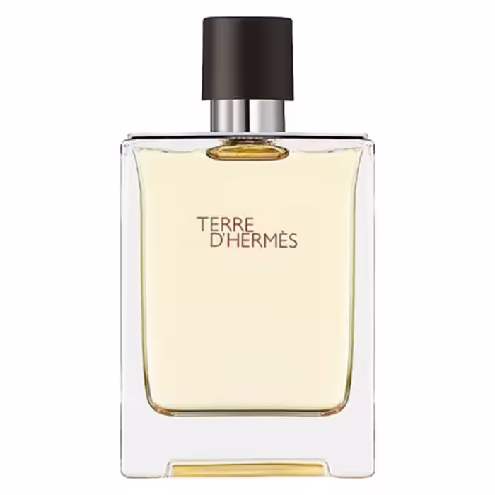 ادو تویلت مردانه HERMES Terre d’Hermes حجم 100 میلی لیتر